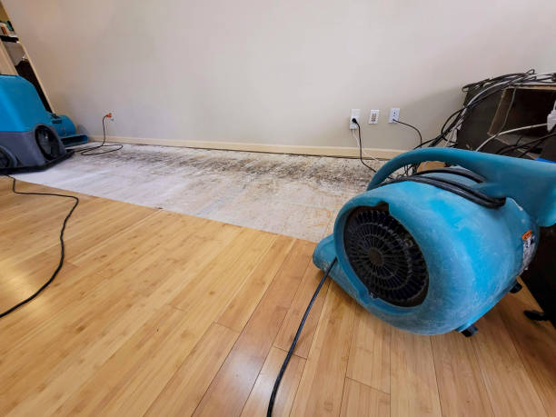 Professional Water Damage Repair technician working in Purvis, MS