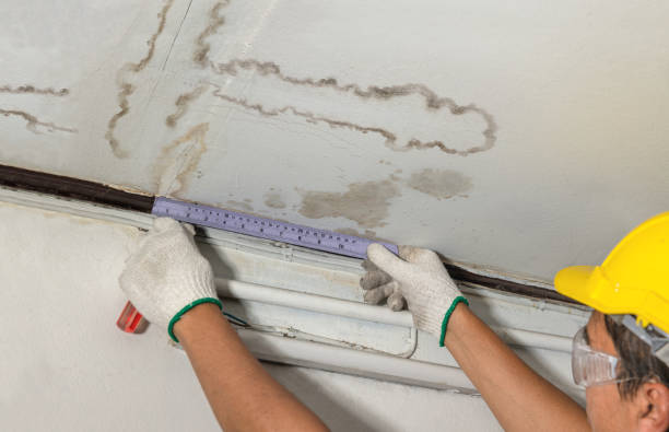 Affordable Water Damage Repair solutions in Purvis, MS